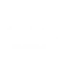 Investment logo